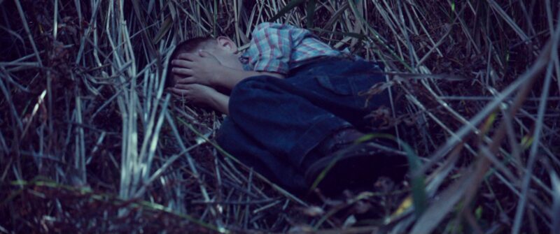 A boy in a plaid shirt and jeans curled up in what looks like it's a cornfield. 